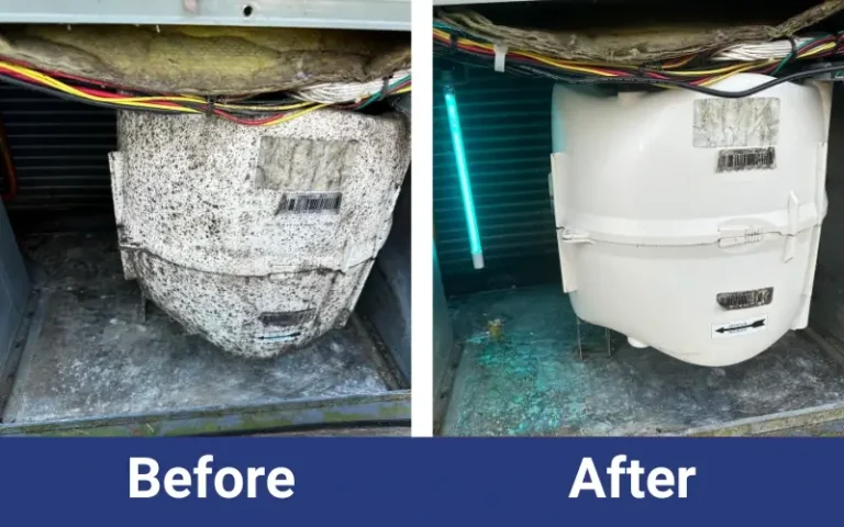 before-after (3)