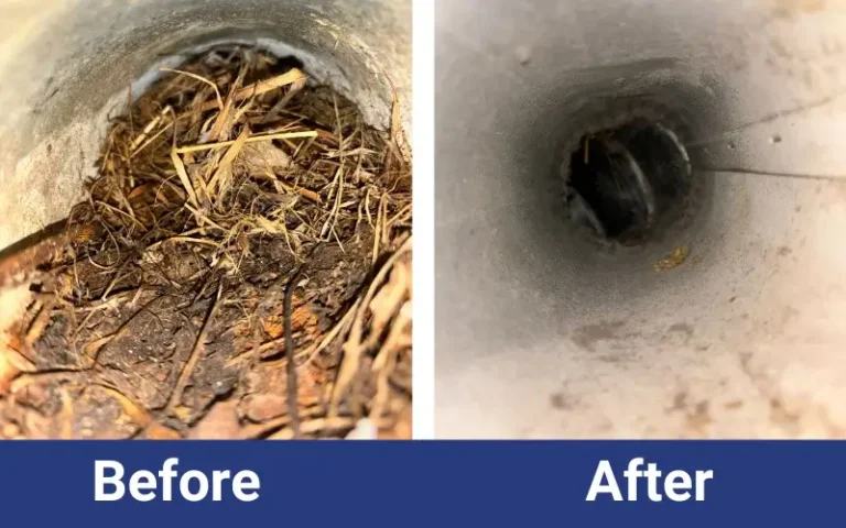 before-after (7)