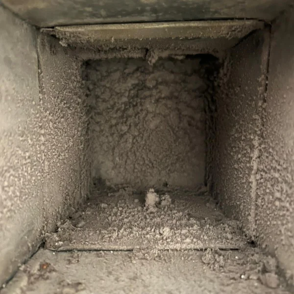 Before image alt